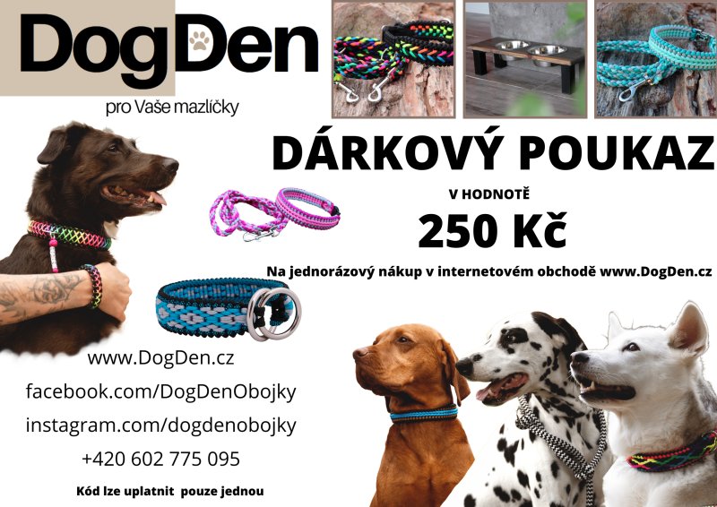 Dárkový poukaz v hodnotě 250 Kč