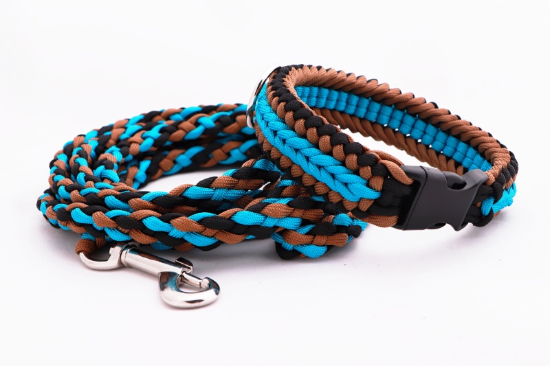 Hnědo-modrý set - pevný obojek