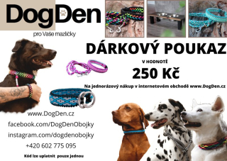 Dárkový poukaz v hodnotě 250 Kč
